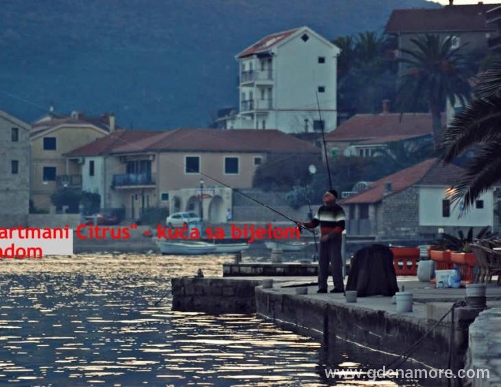 Pogled sa obale na Citrus apartmane 